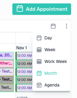 Calendar View Dropdown