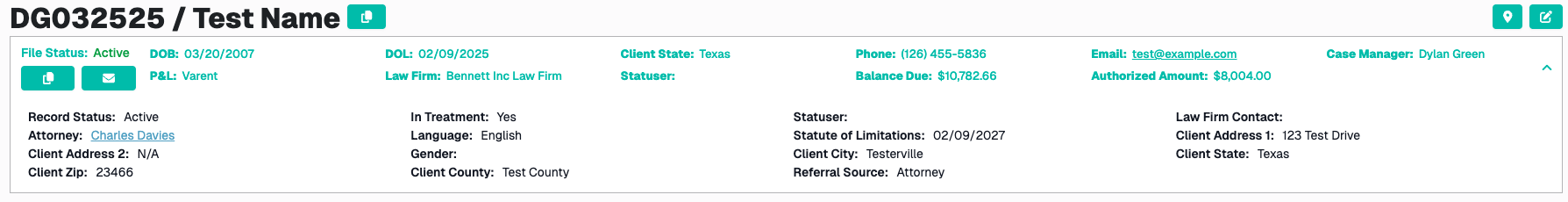 Case File Tab Accordion Expanded